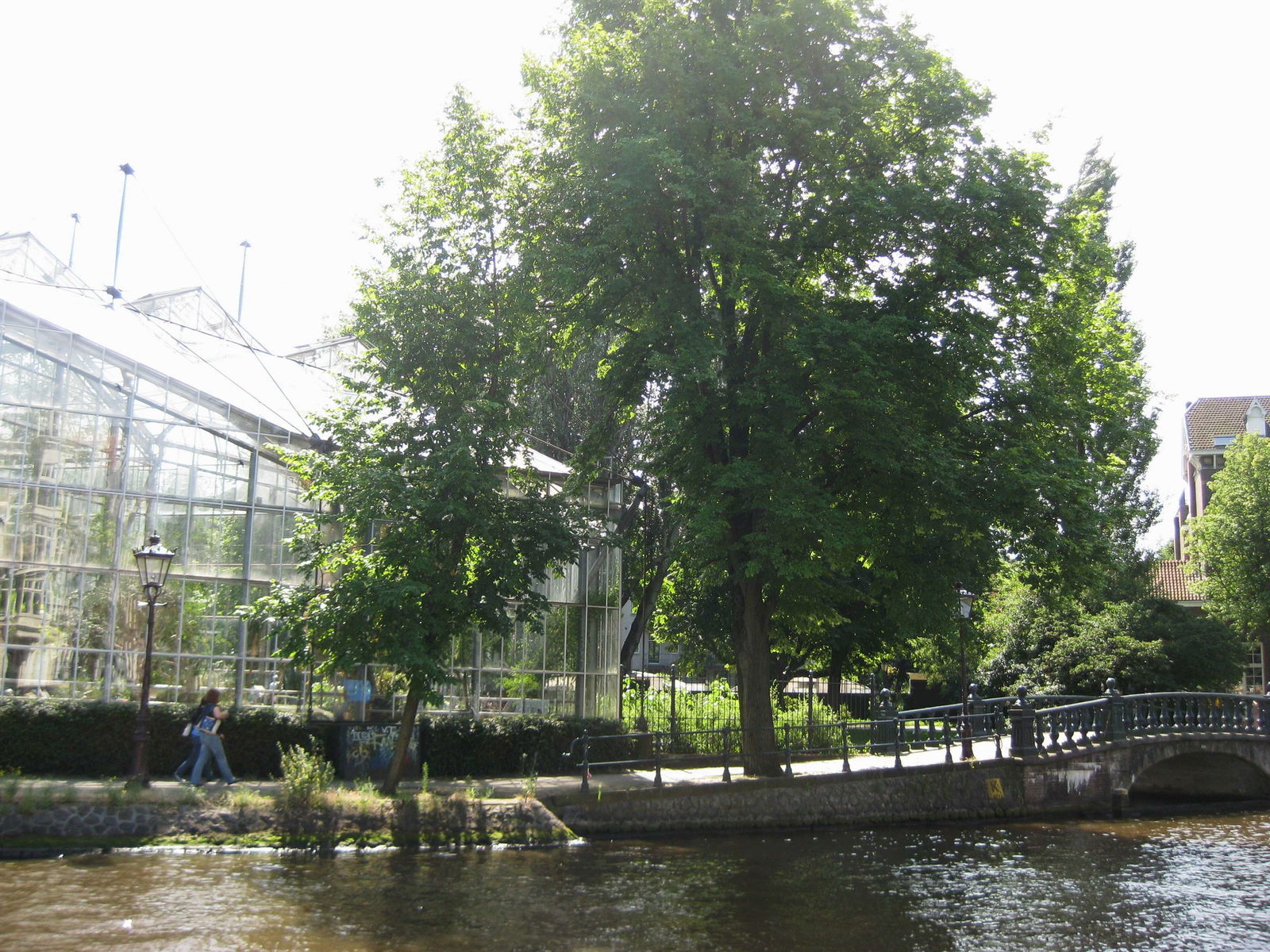 Hortus Botanicus Amsterdam