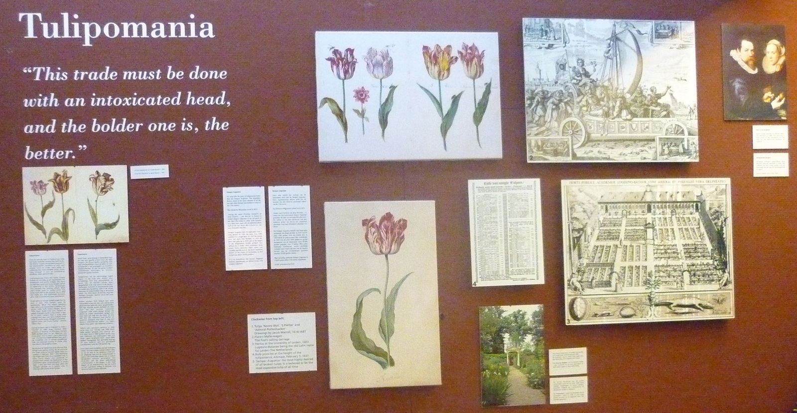 Amsterdam Tulip Museum