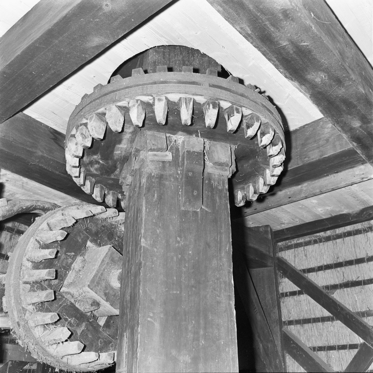 Olie- en Korenmolen Woldzigt