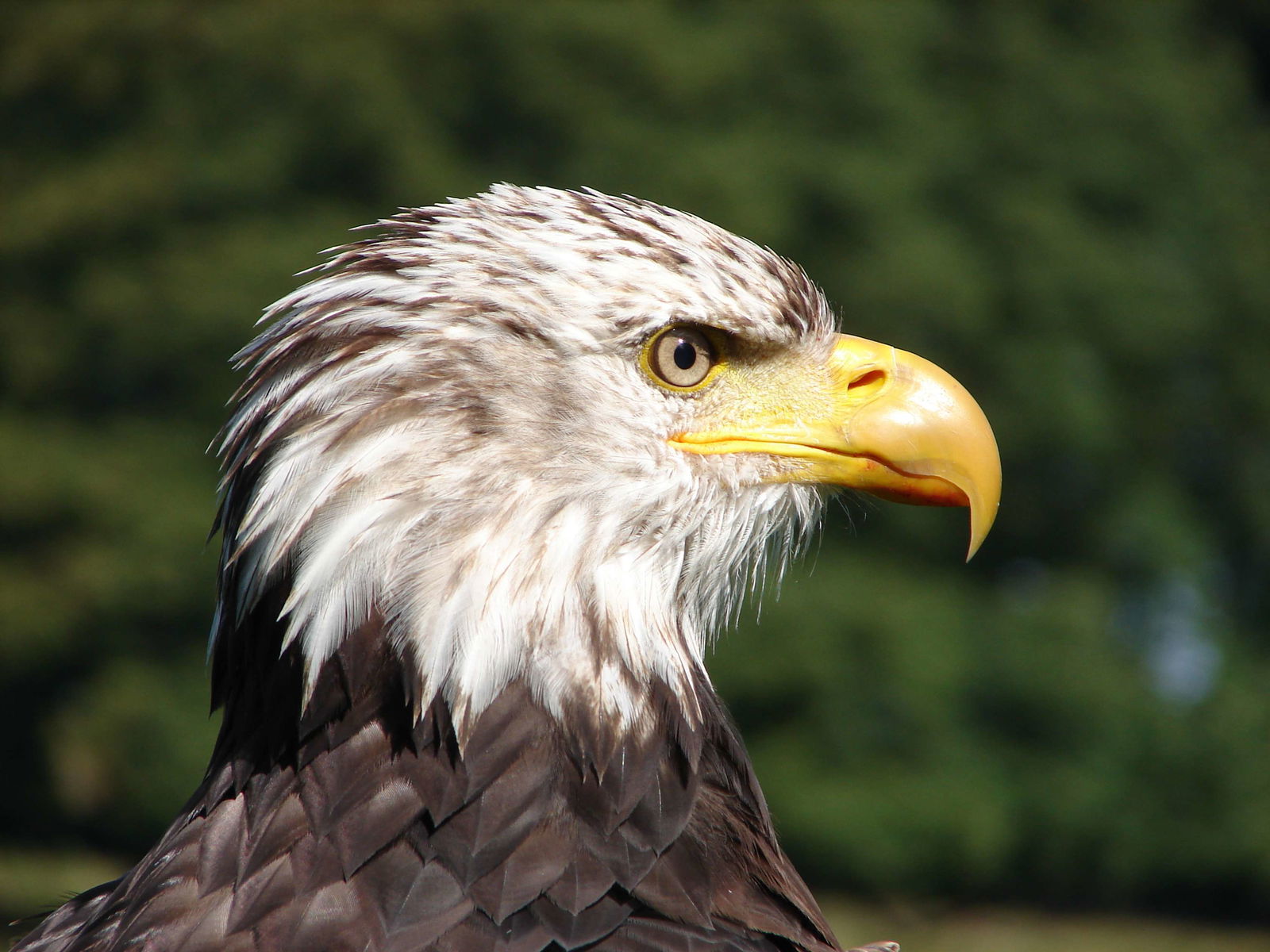 Aardhuispark & bezoekerscentrum