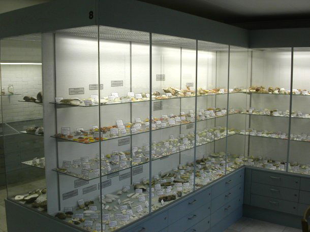 Schelpenmuseum Paal 14