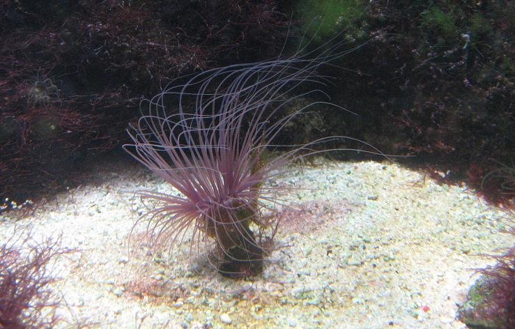 Ouwehands Dierenpark Rhenen