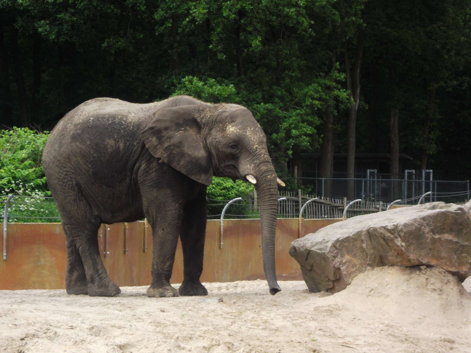 Ouwehands Dierenpark Rhenen