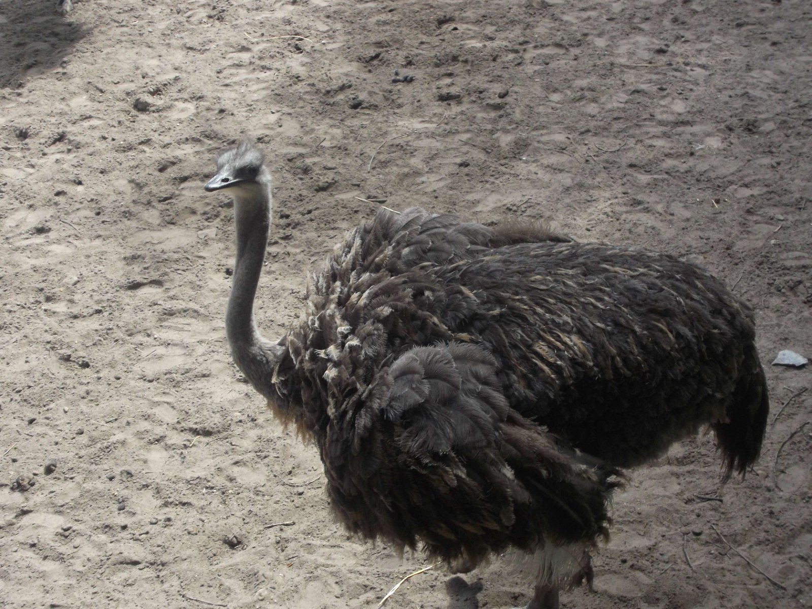 Ouwehands Dierenpark Rhenen