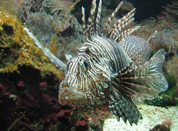 Ouwehands Dierenpark Rhenen