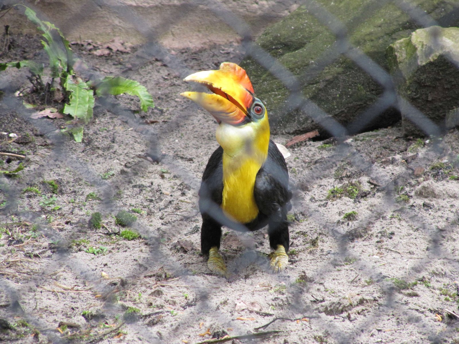 Ouwehands Dierenpark Rhenen