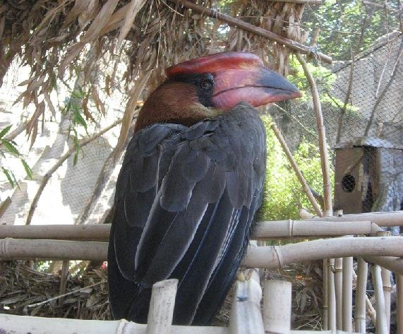 Ouwehands Dierenpark Rhenen