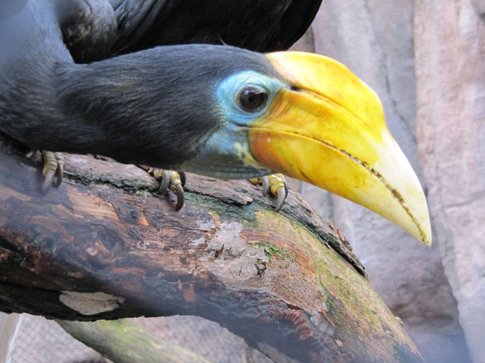 Ouwehands Dierenpark Rhenen