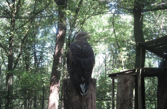 Ouwehands Dierenpark Rhenen