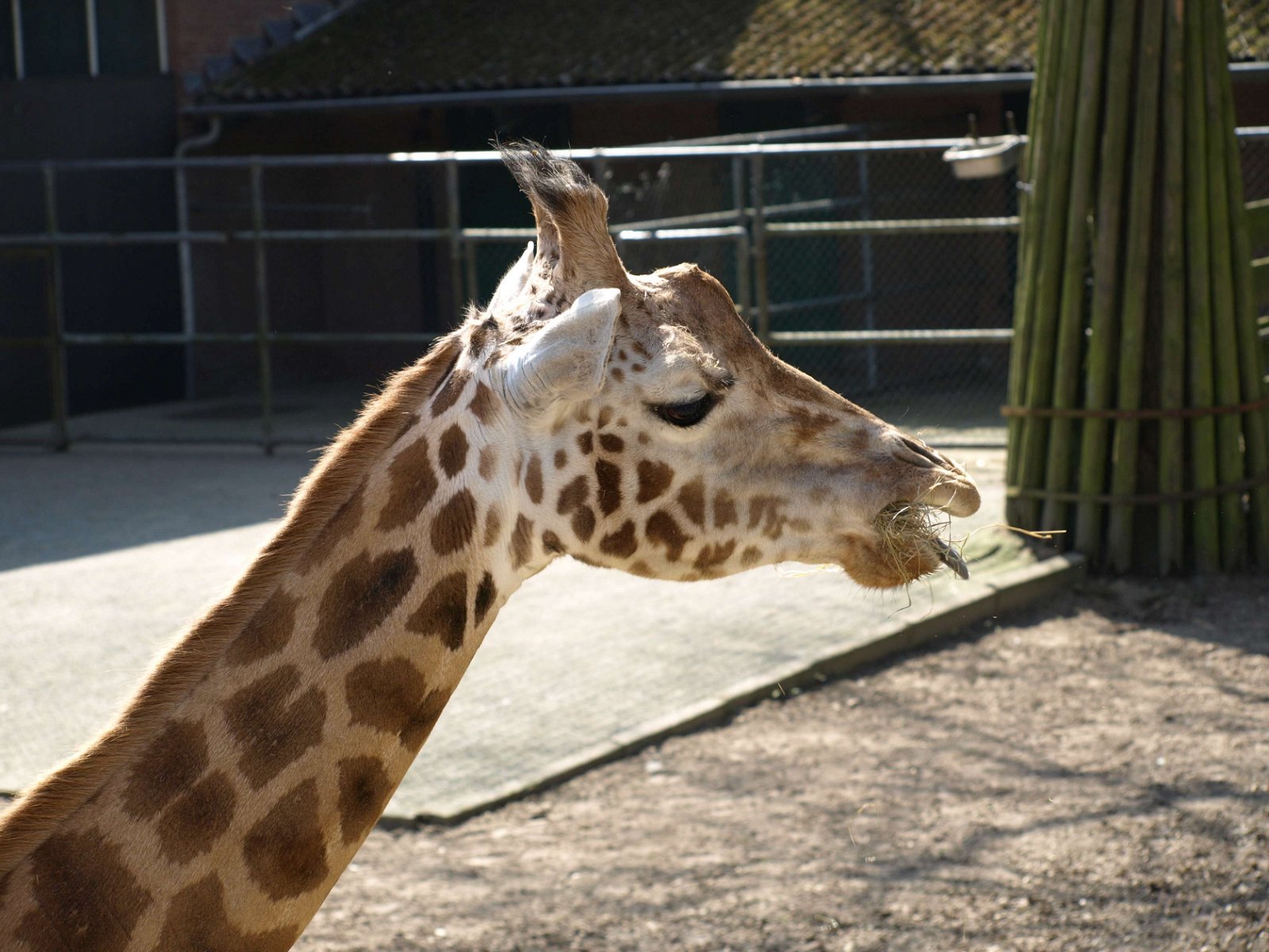 Ouwehands Dierenpark Rhenen