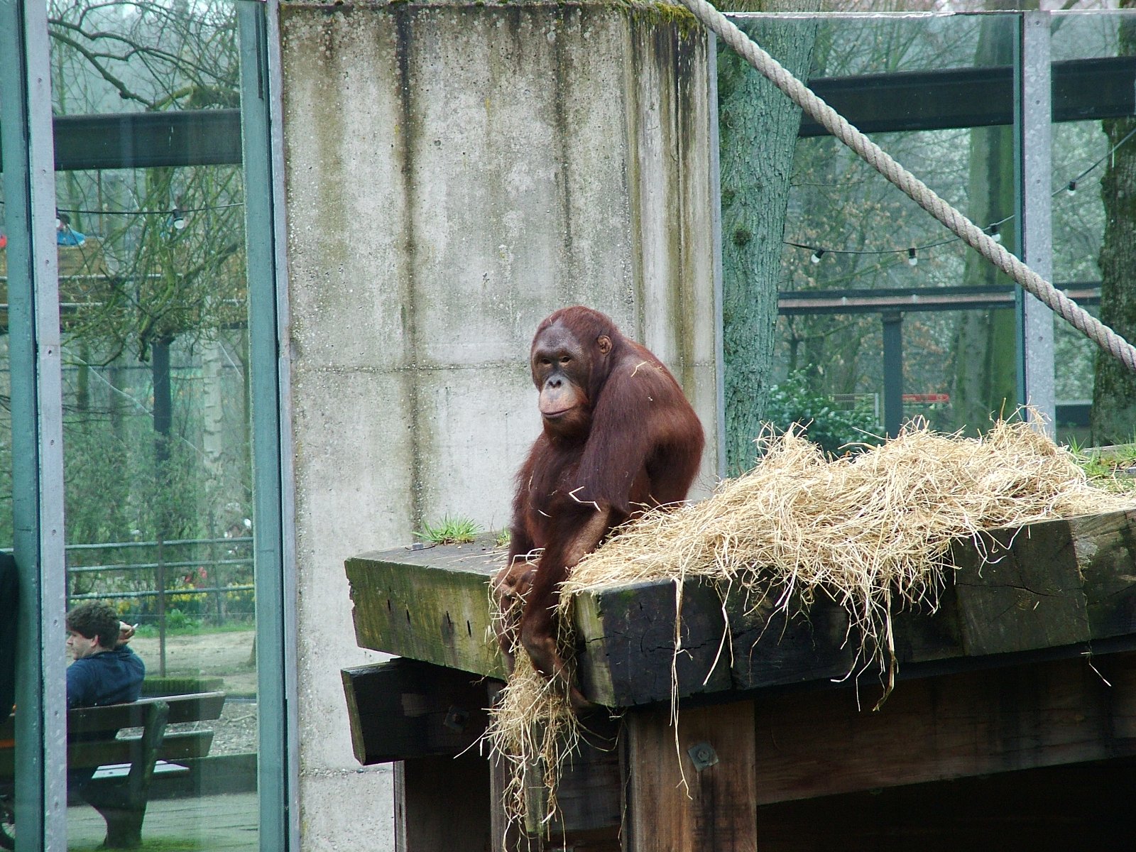 Ouwehands Dierenpark Rhenen