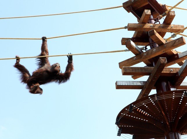 Ouwehands Dierenpark Rhenen
