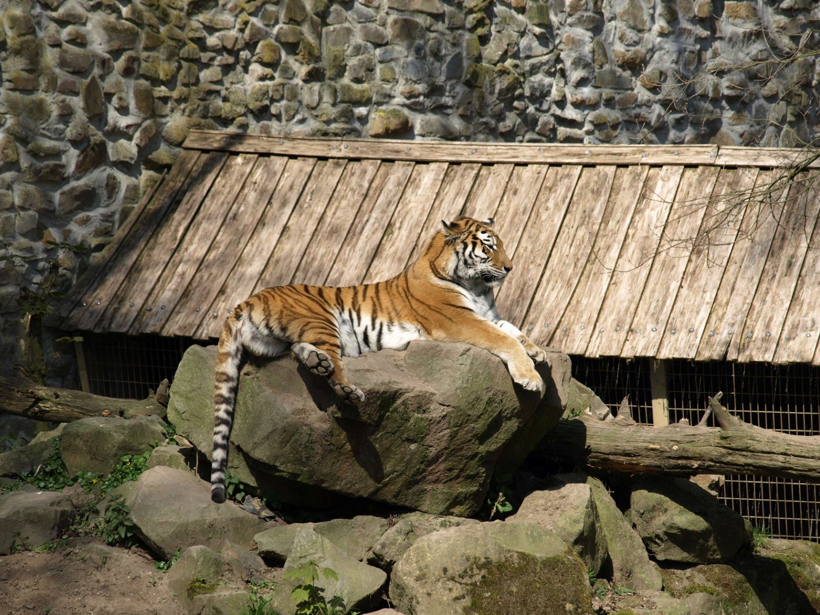 Ouwehands Dierenpark Rhenen