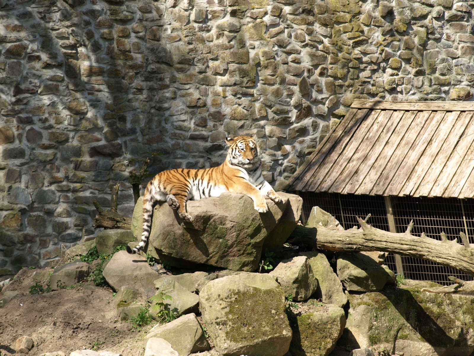 Ouwehands Dierenpark Rhenen