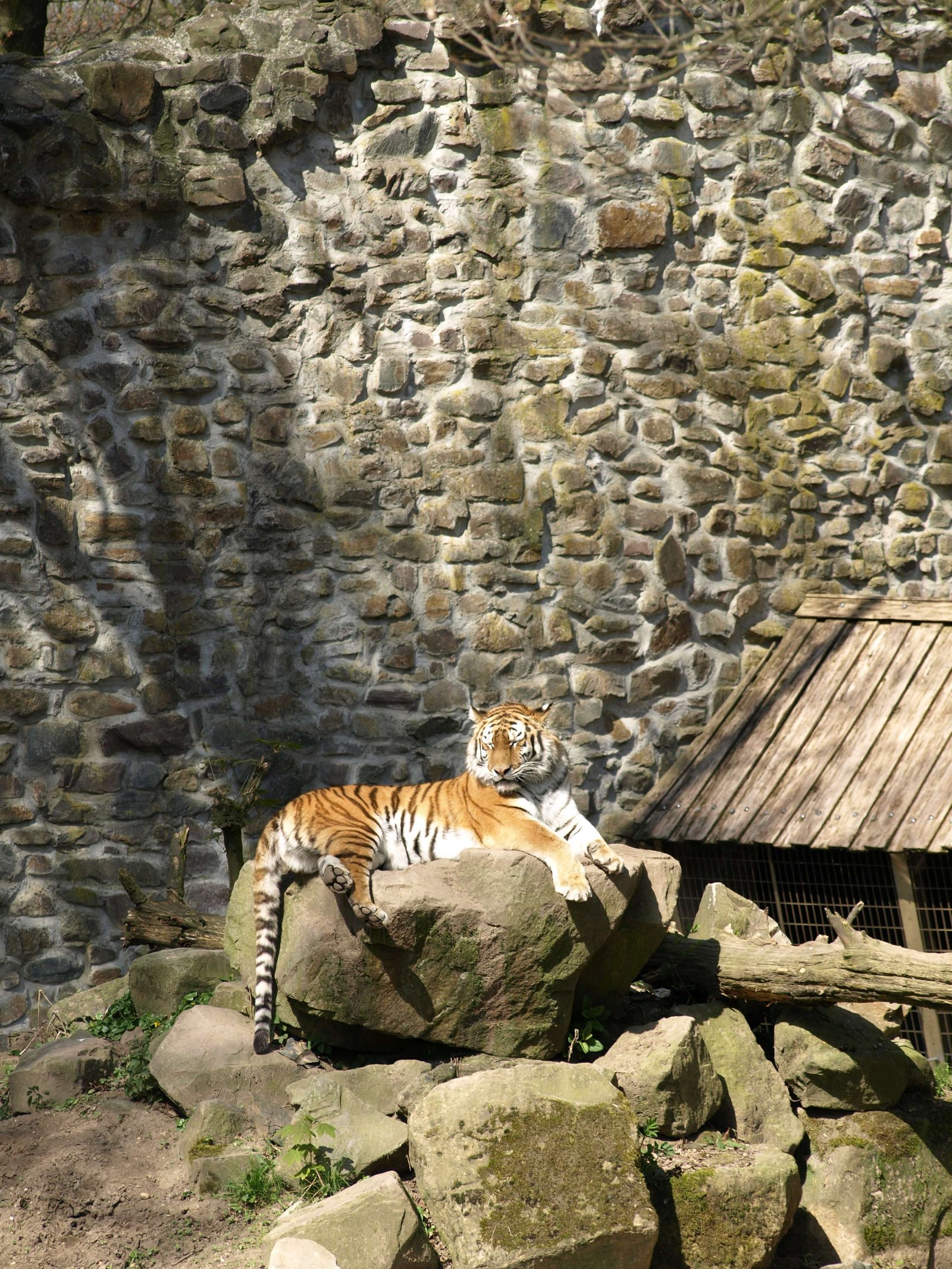 Ouwehands Dierenpark Rhenen