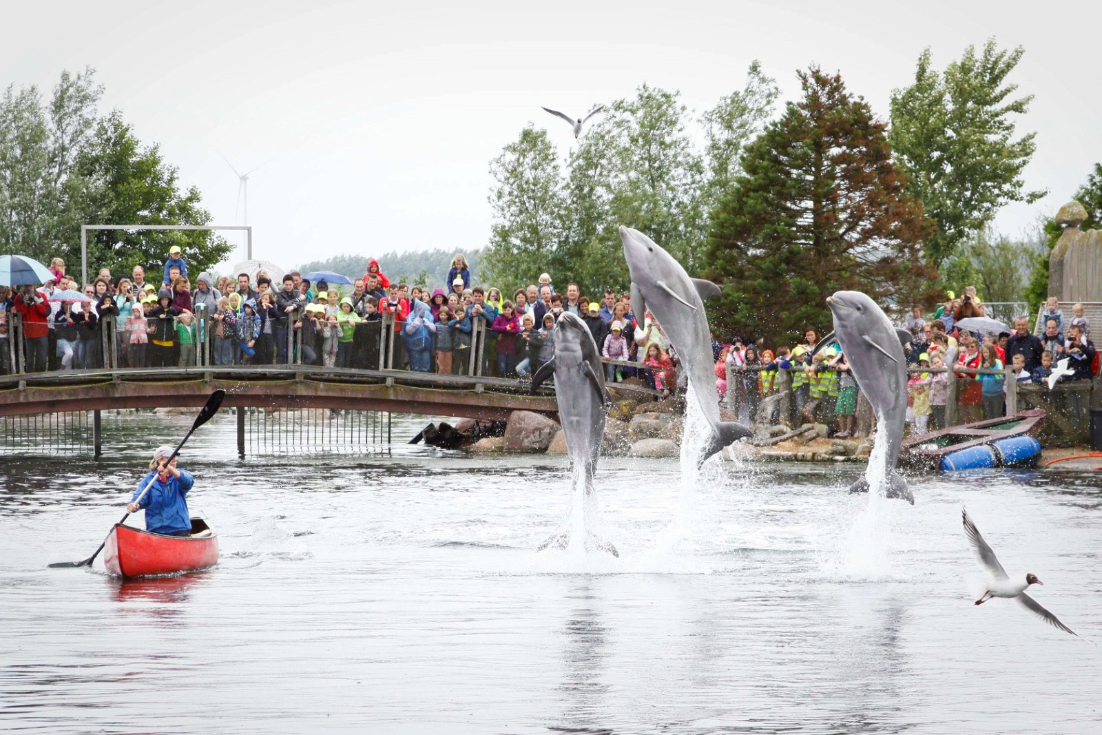 Dolfinarium Harderwijk