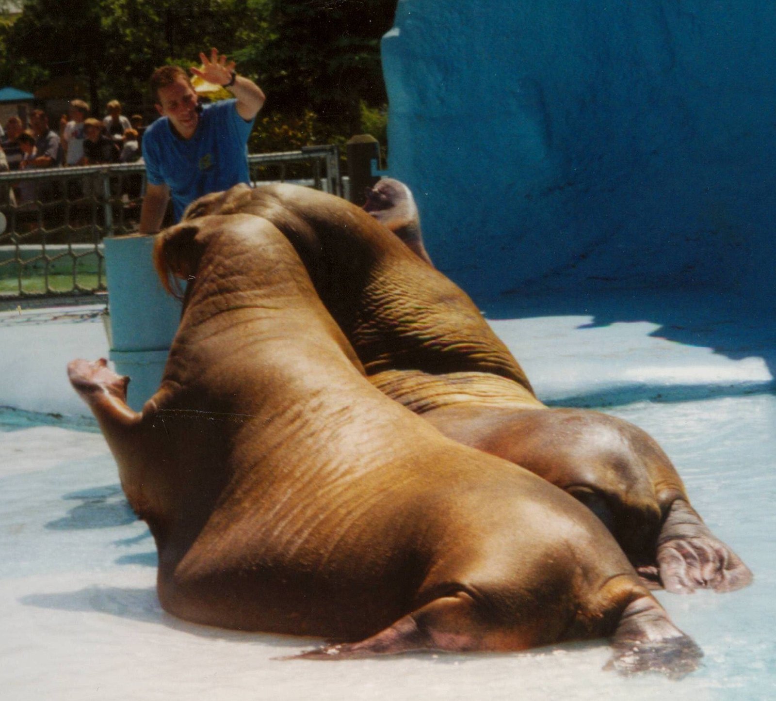 Dolfinarium Harderwijk
