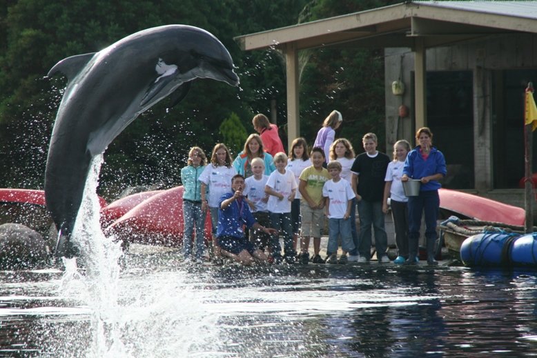 Dolfinarium Harderwijk