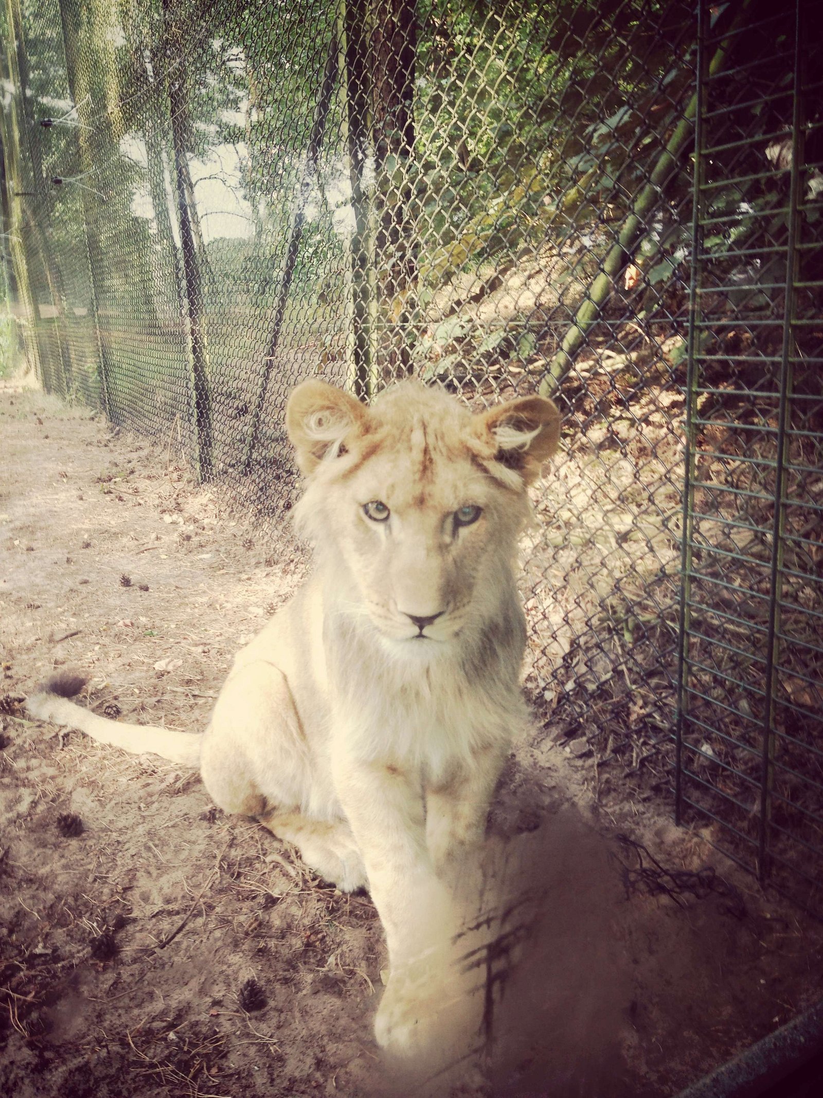 Safaripark Beekse Bergen