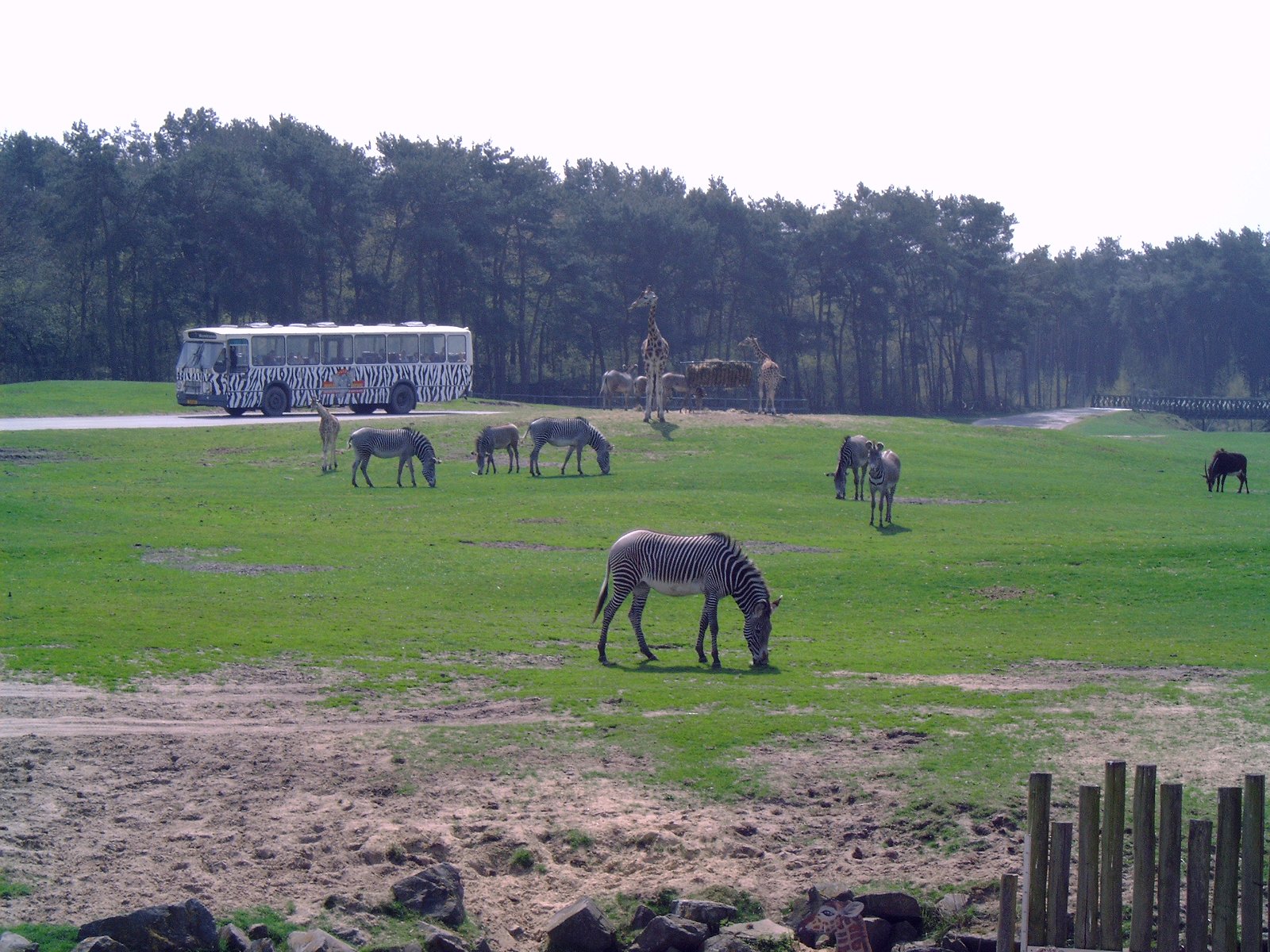Safaripark Beekse Bergen