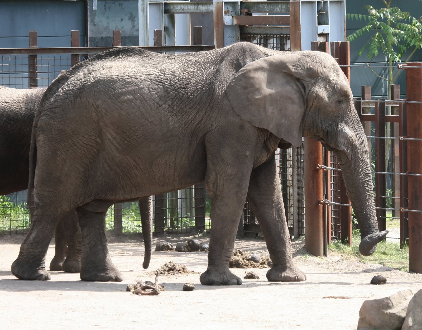 Safaripark Beekse Bergen