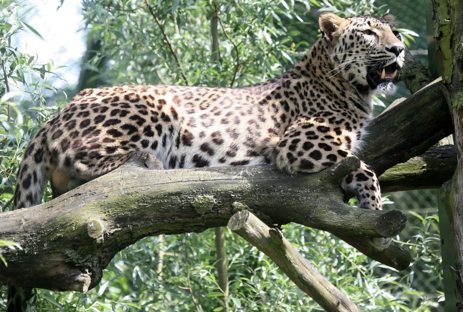Safaripark Beekse Bergen