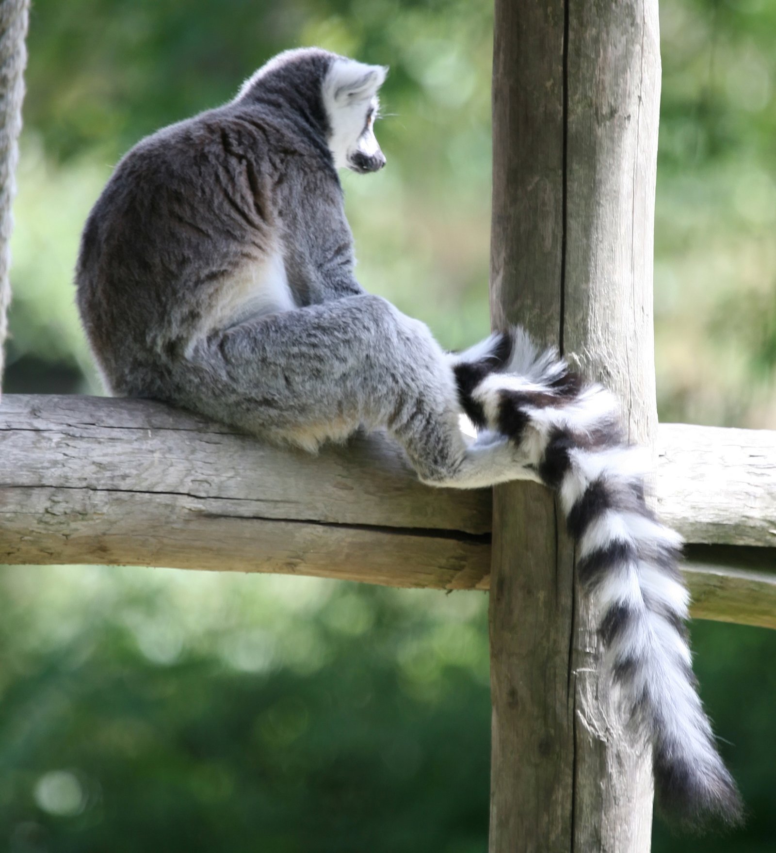 Safaripark Beekse Bergen