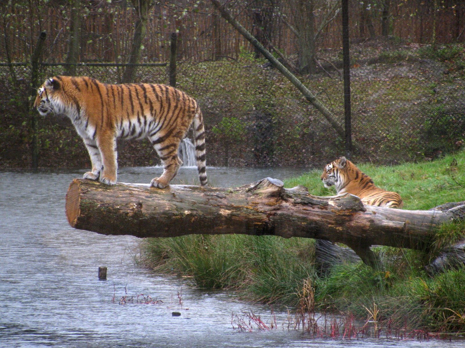 Safaripark Beekse Bergen