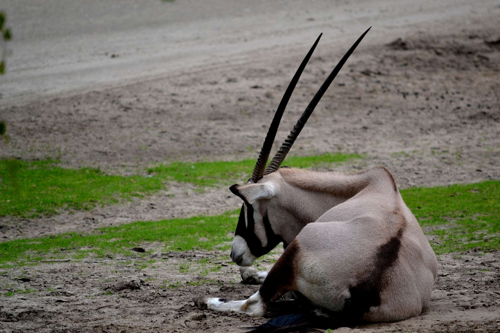 Safaripark Beekse Bergen