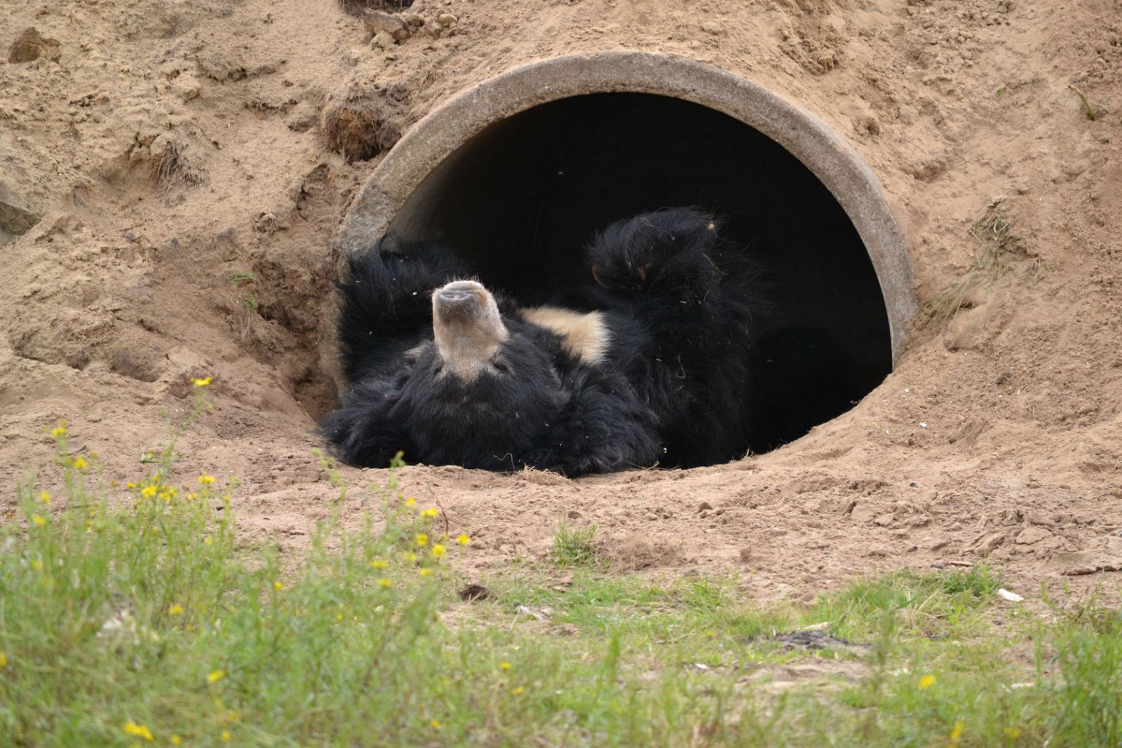Safaripark Beekse Bergen