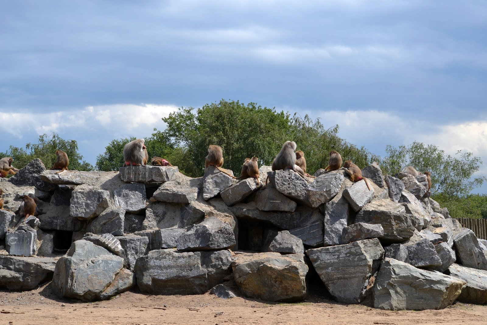 Safaripark Beekse Bergen
