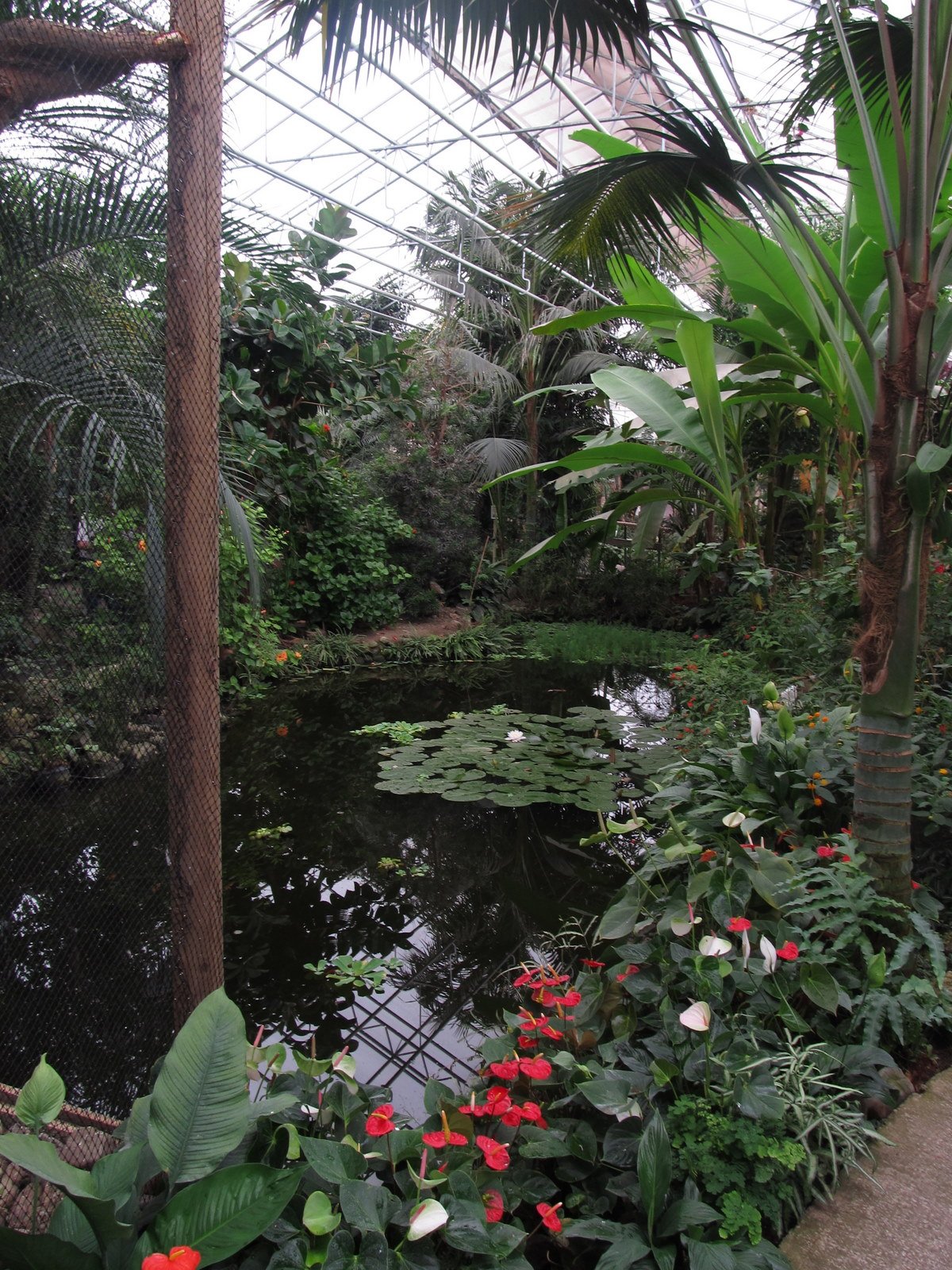 Berkenhof's Tropical Zoo