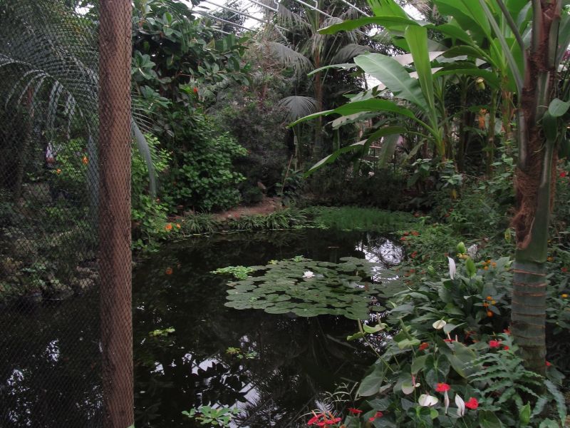 Berkenhof's Tropical Zoo