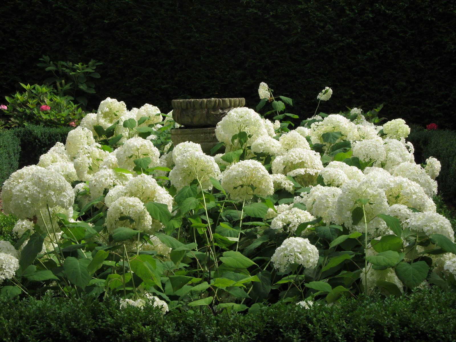 Berkenhof's Tropical Zoo