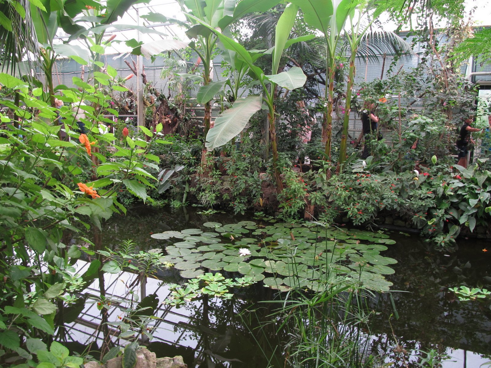 Berkenhof's Tropical Zoo