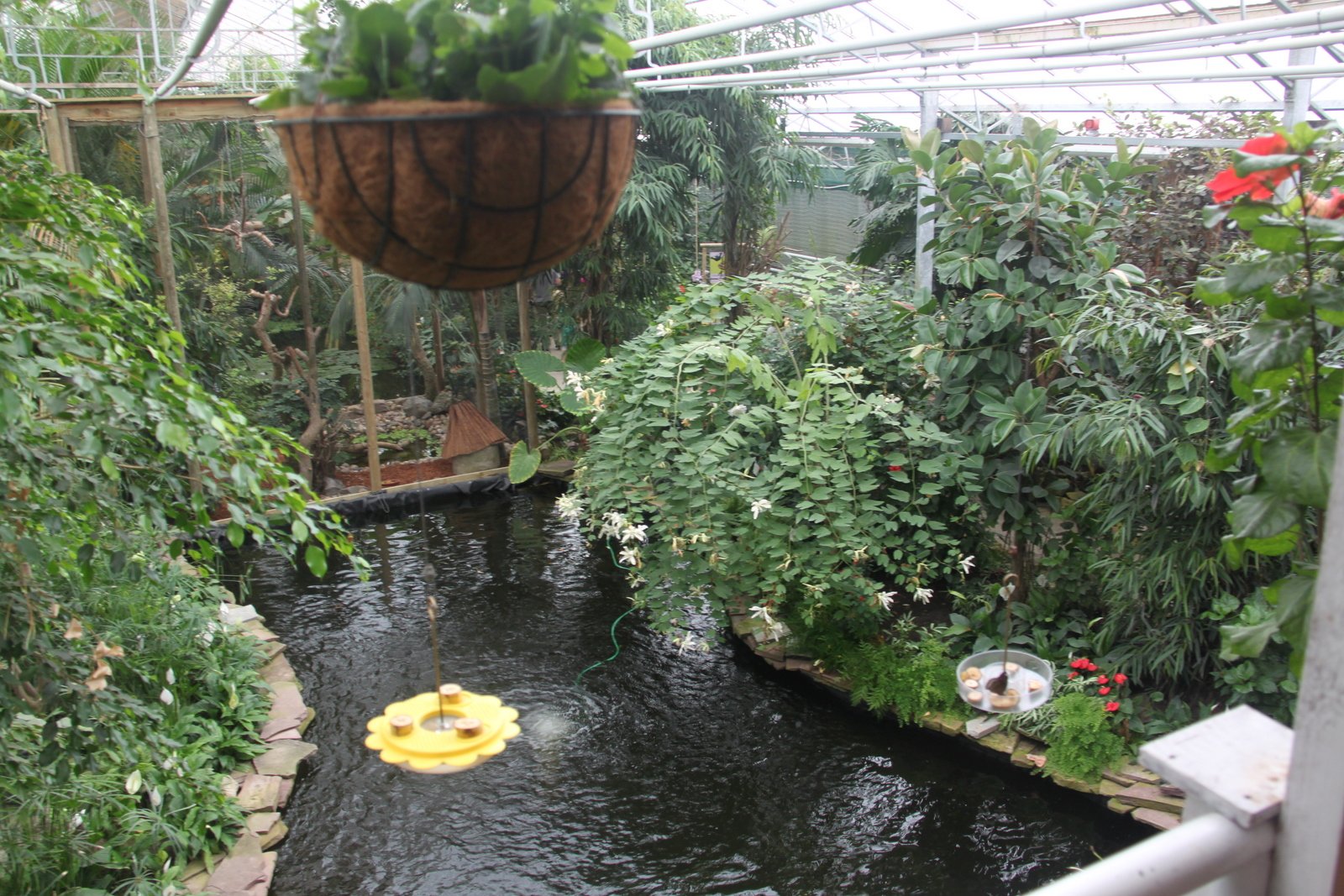 Berkenhof's Tropical Zoo