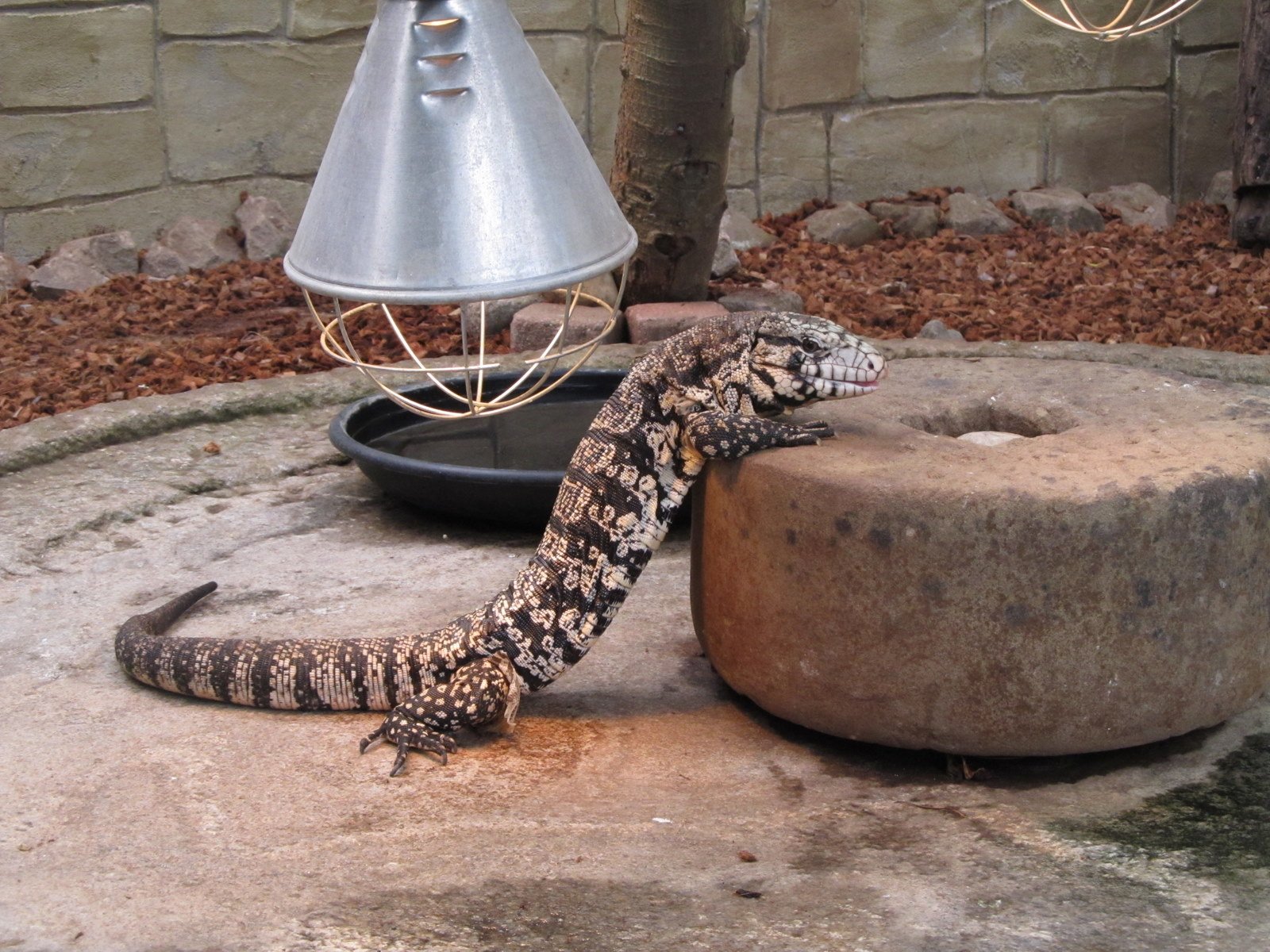Berkenhof's Tropical Zoo