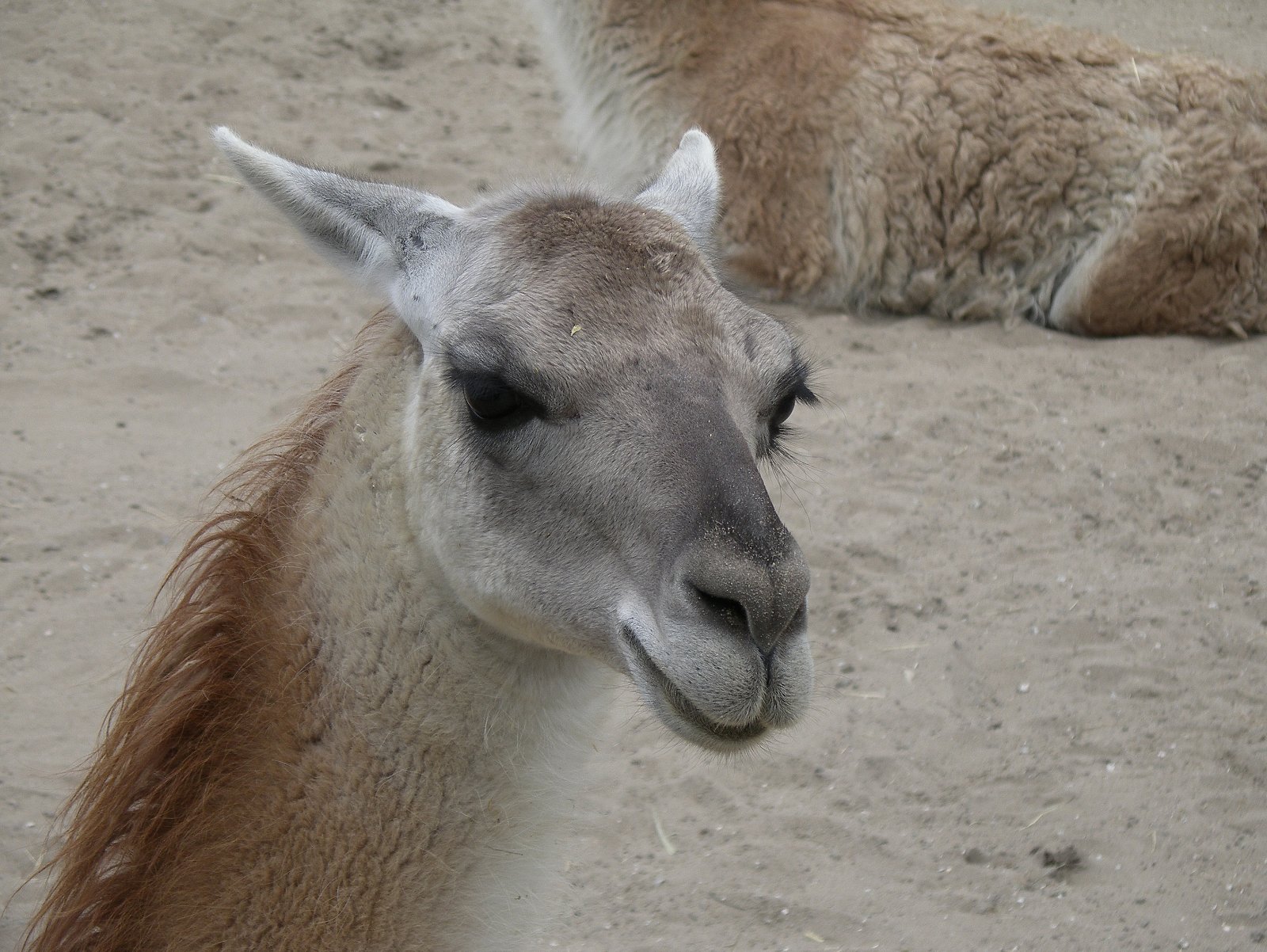 Van Blanckendaell Park