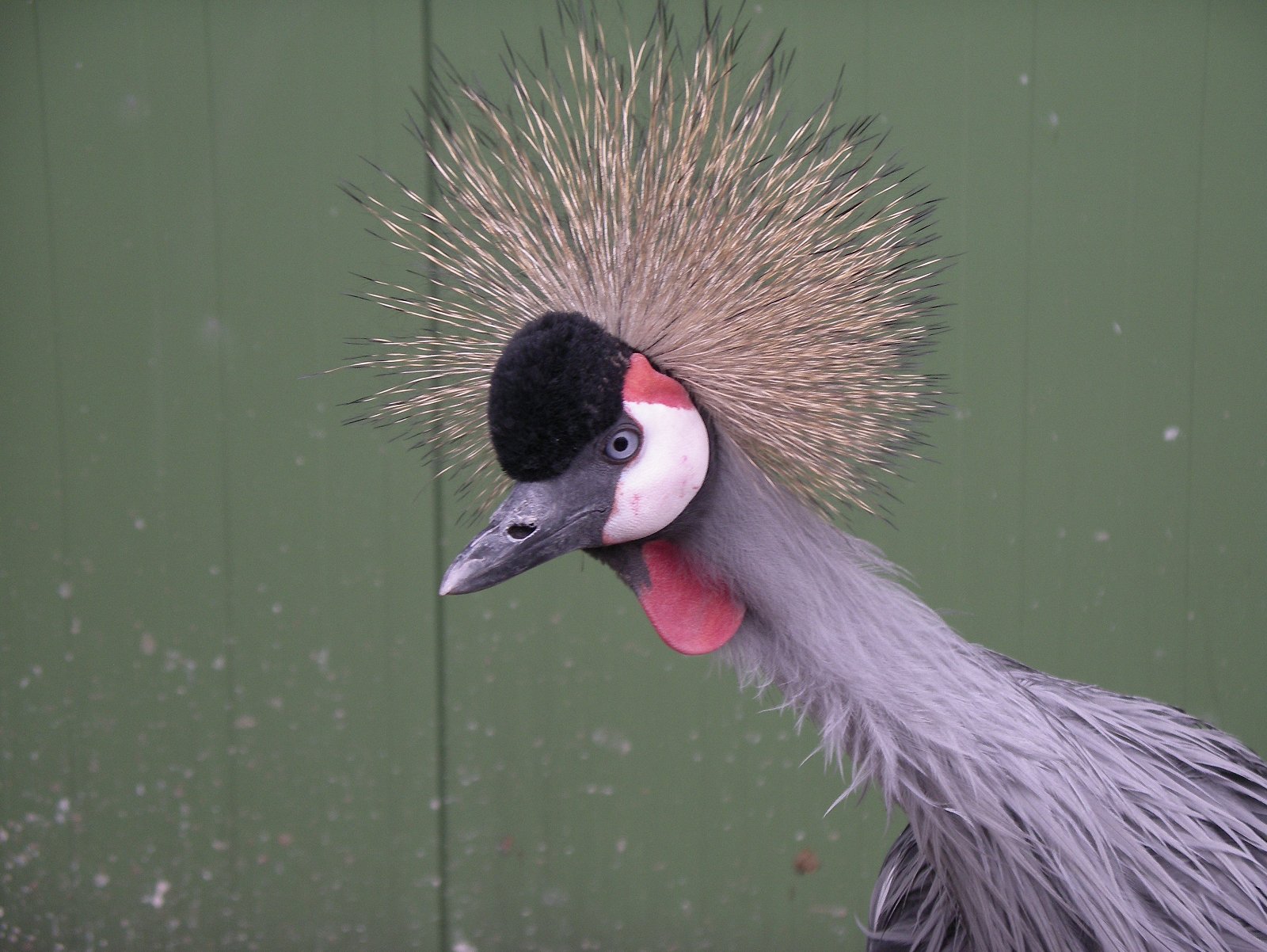 Van Blanckendaell Park