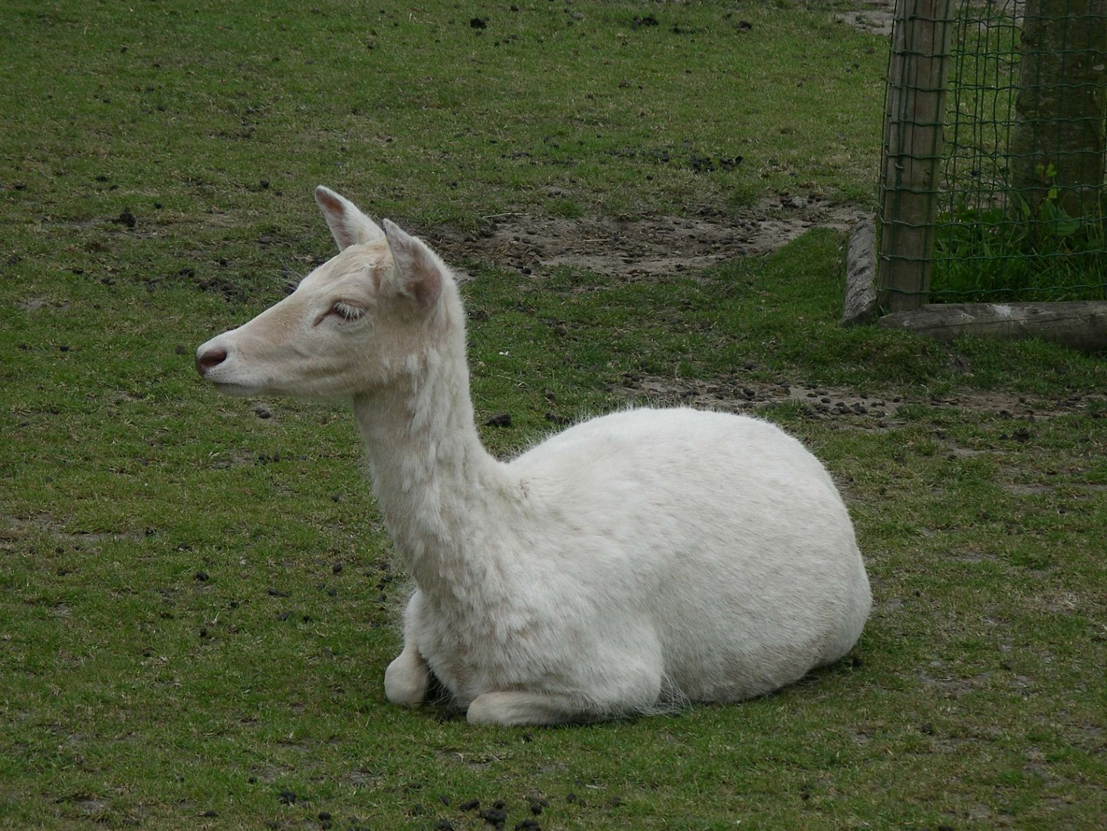 Van Blanckendaell Park