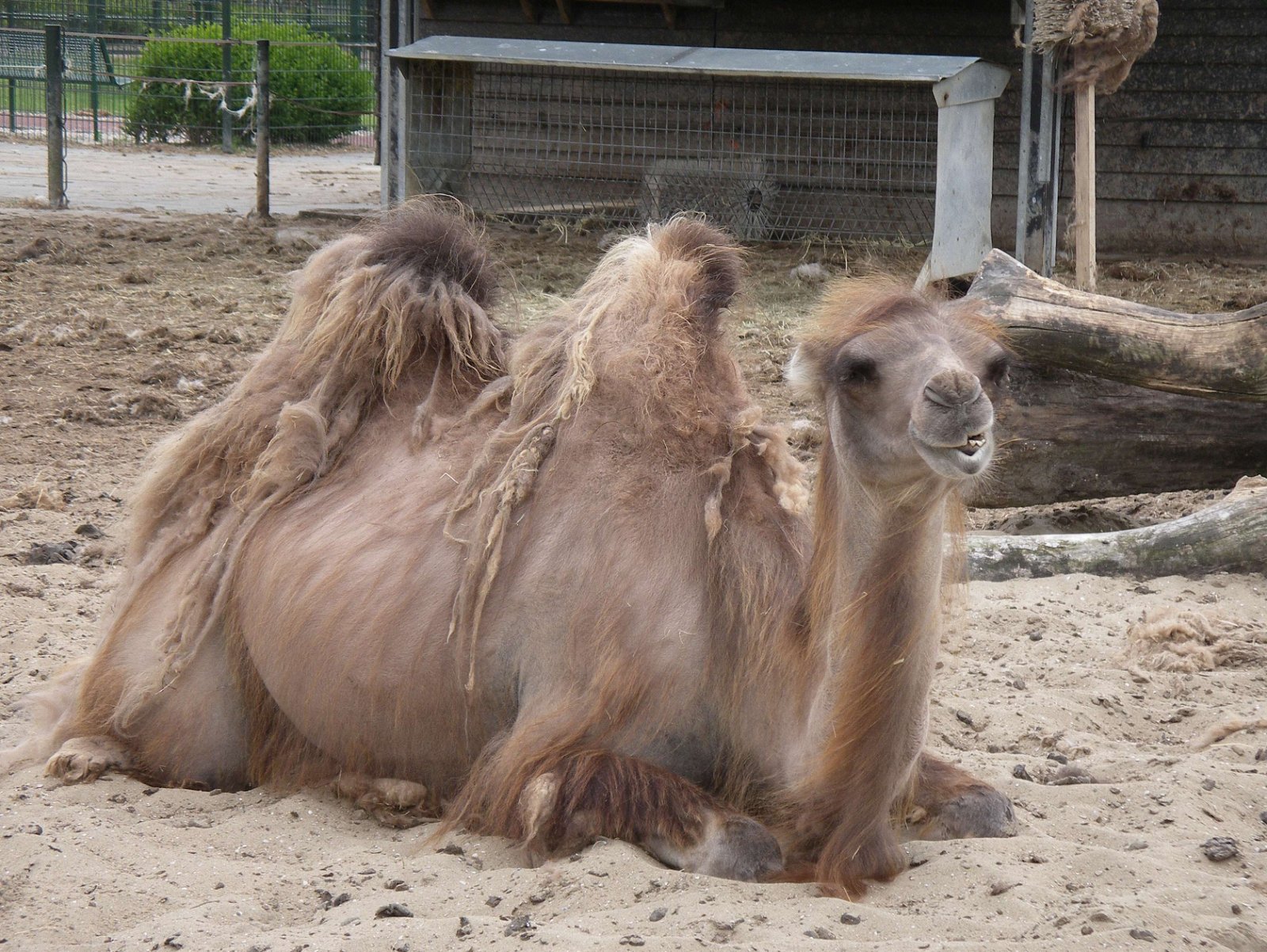 Van Blanckendaell Park