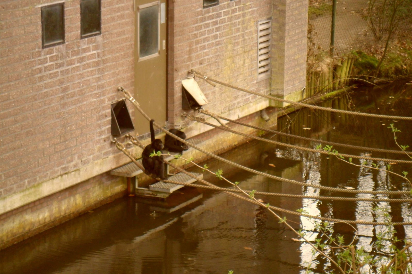 Apenheul Primate Park