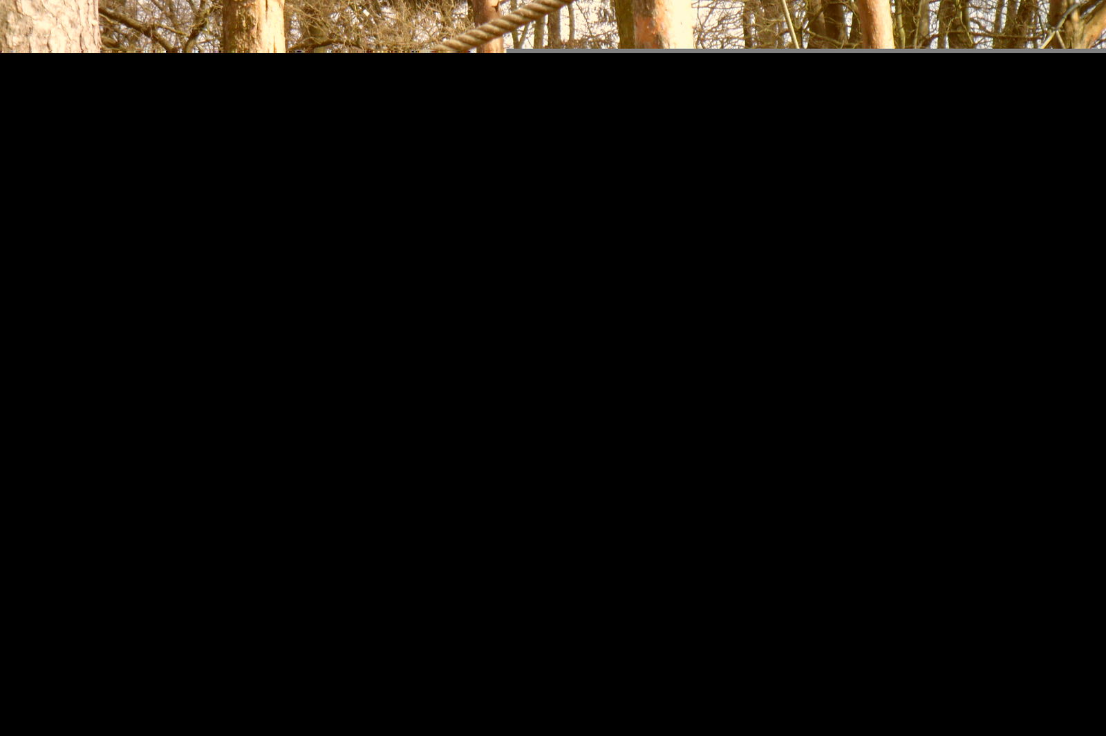 Apenheul Primate Park