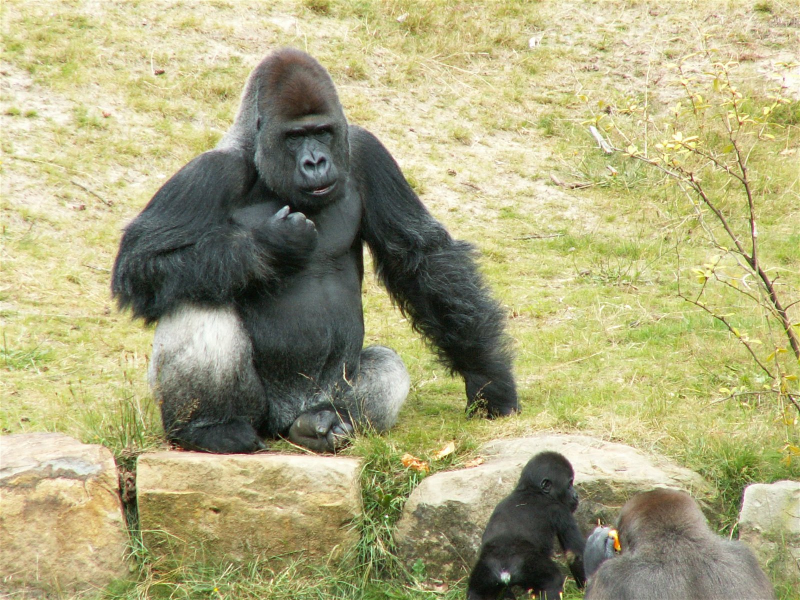 Apenheul Primate Park