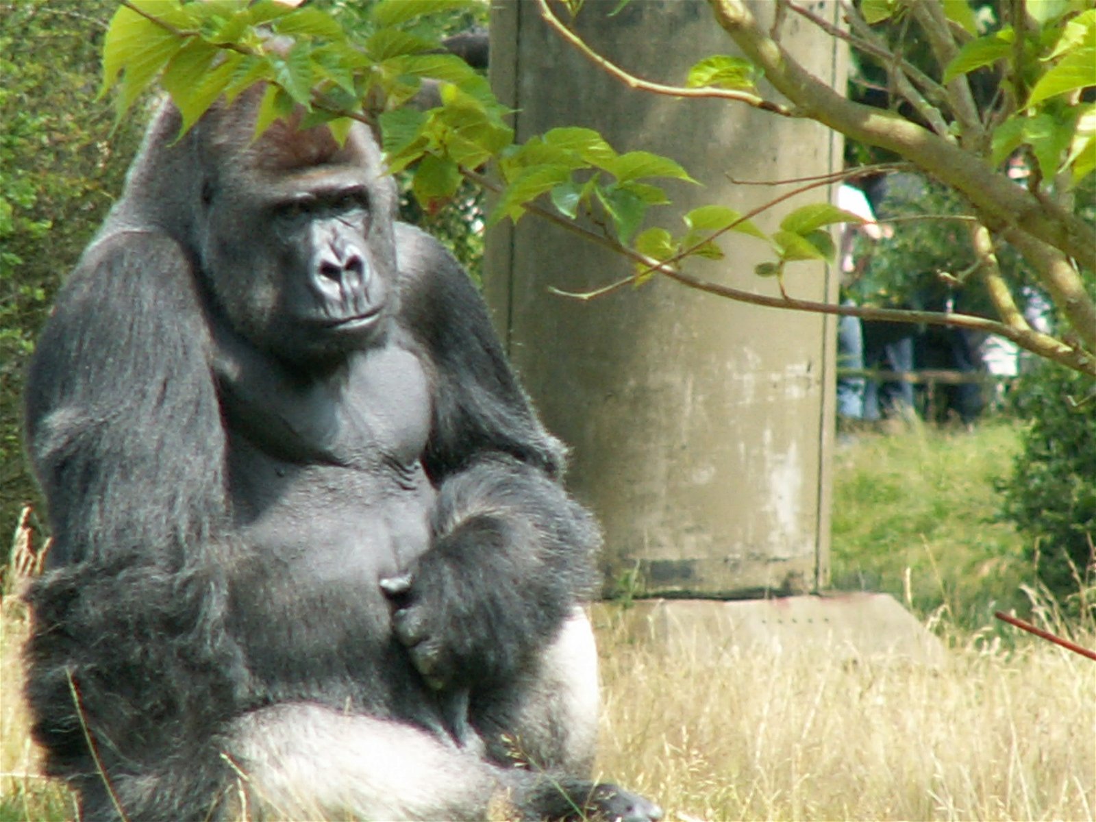 Apenheul Primate Park