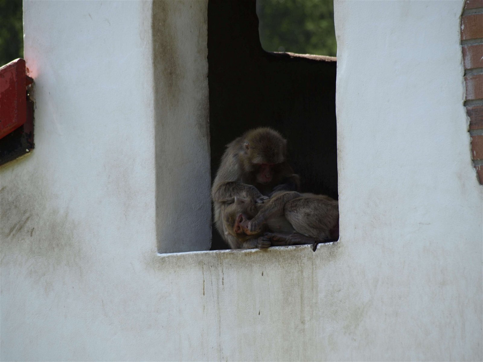 DierenPark Amersfoort