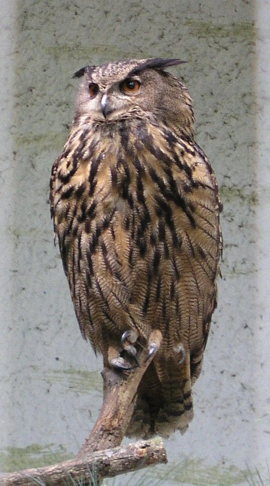DierenPark Amersfoort
