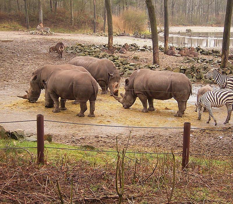 Burgers' Zoo