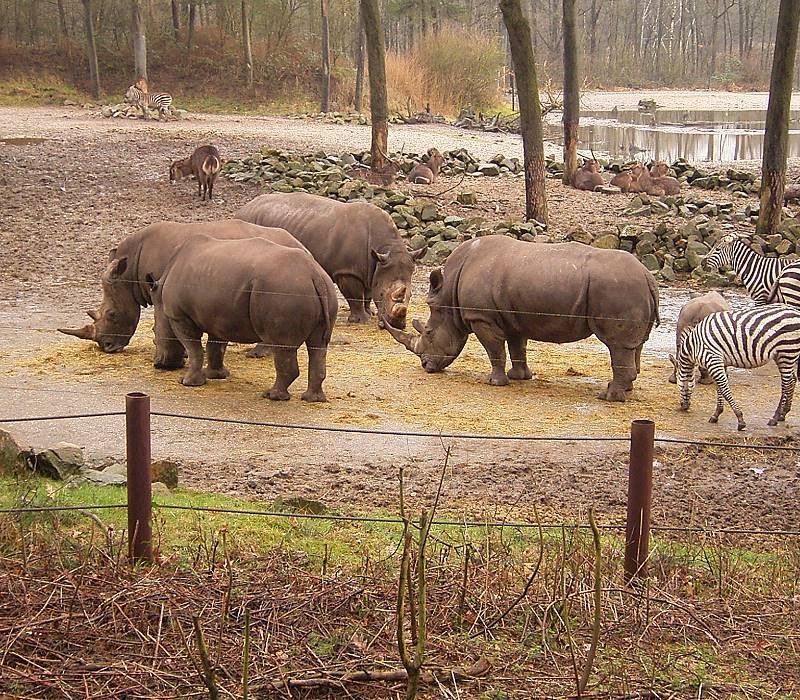 Burgers' Zoo