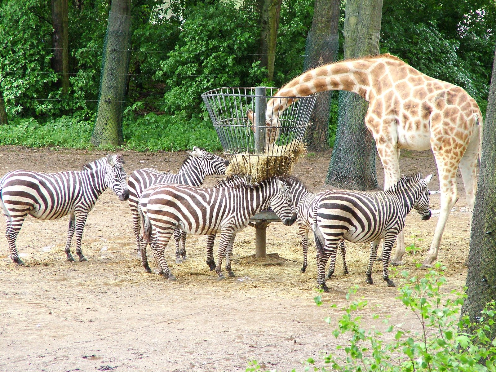 Burgers' Zoo